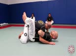 Ribeiro Self Defense Series 2 - Vale Tudo Street Guard and Guard Control Against Striking Opponents